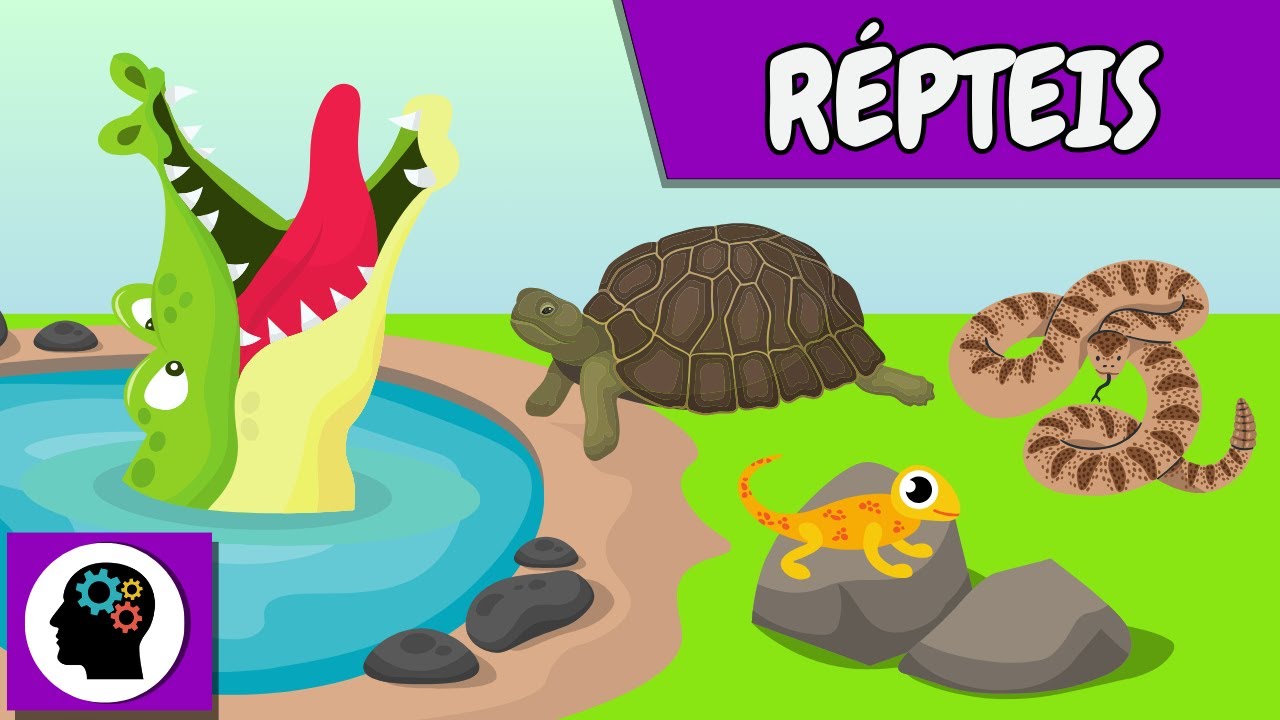 Resumo - R&Eacute;PTEIS