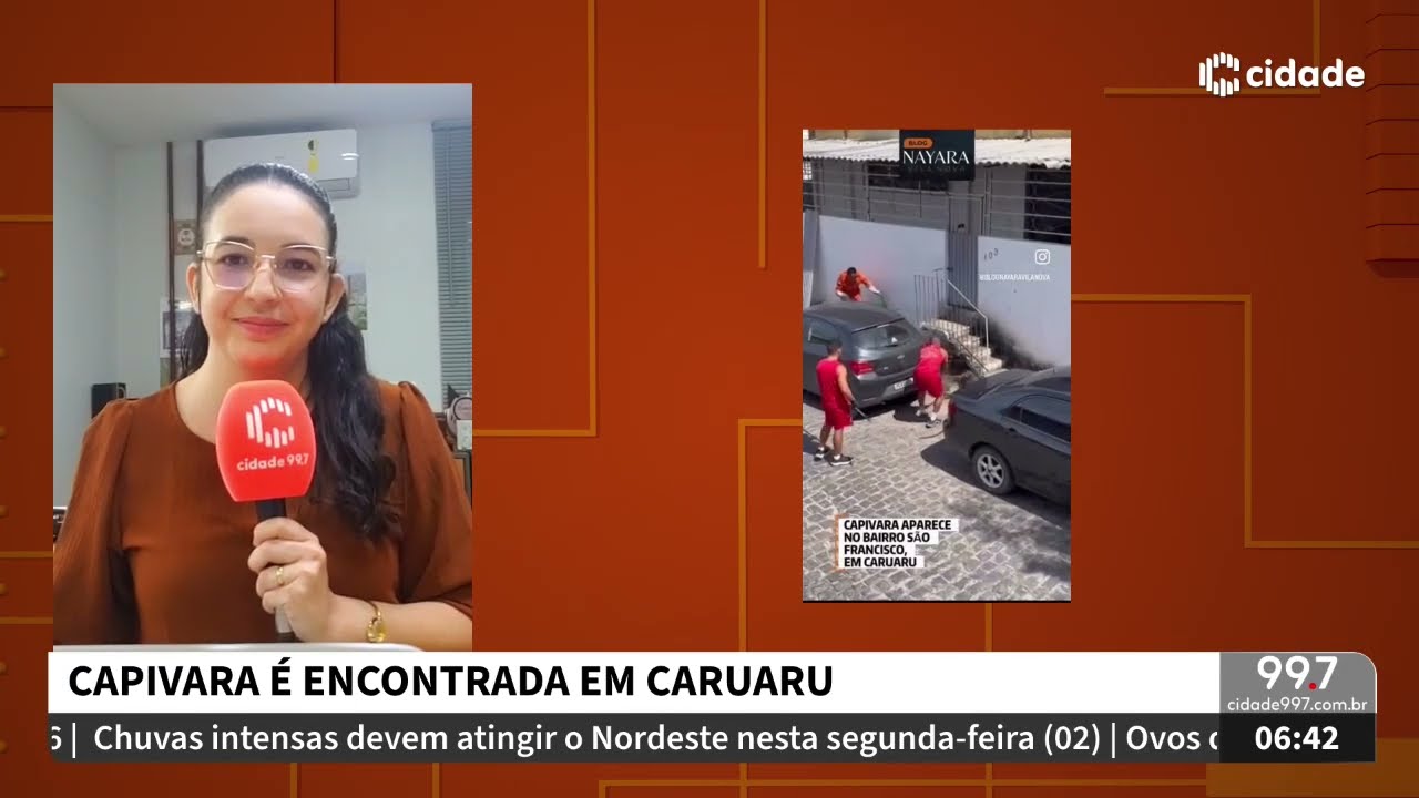 Manhã Cidade - 02.03.26 - Capivara é encontrada no bairro São Francisco, em Caruaru