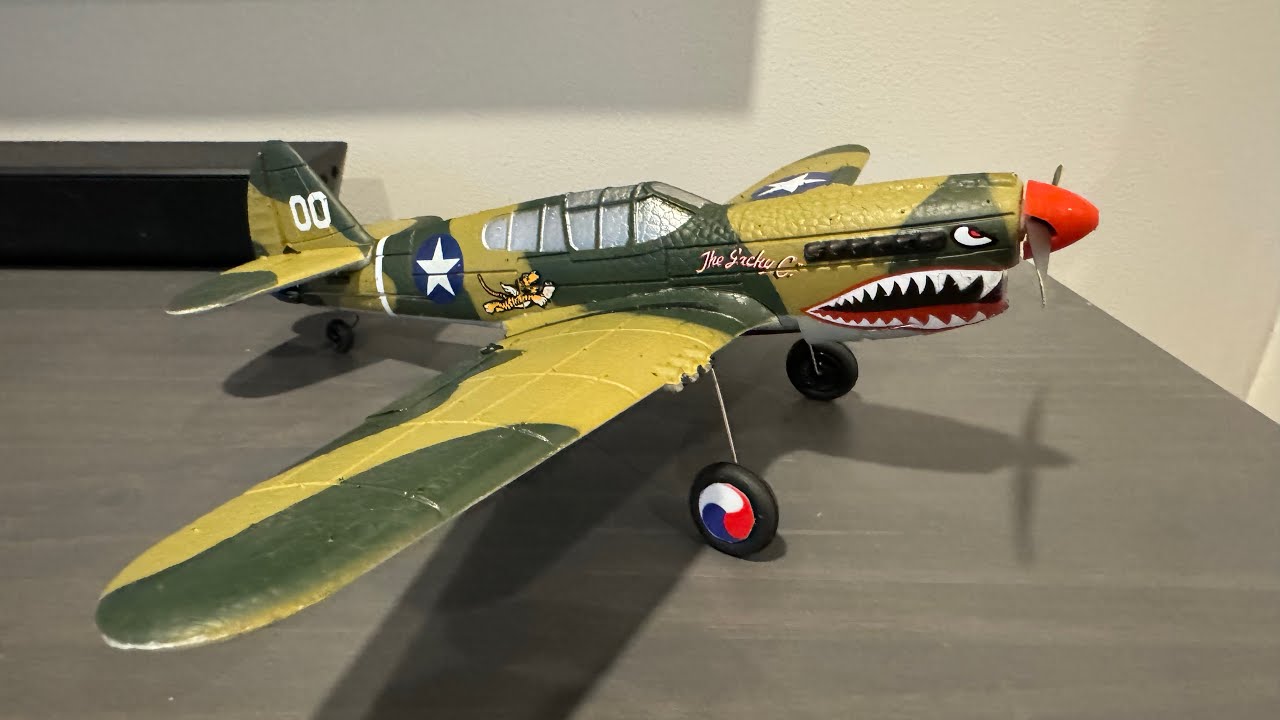 Preview of the RC Warbird (Leambe P-40 Warhawk)