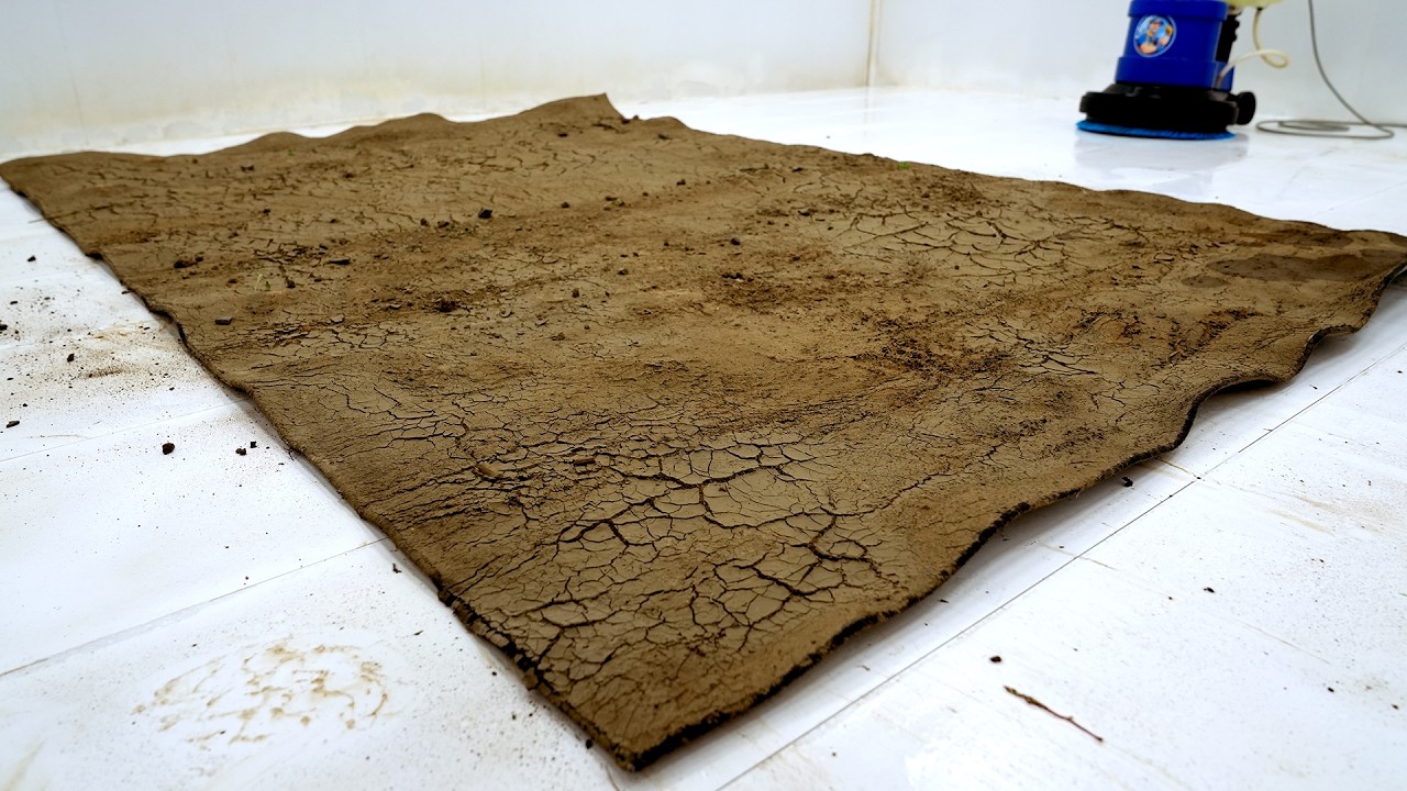 60 Years of Mud Hidden in This Carpet… The First Scrape Is Crazy! - Satisfying Video