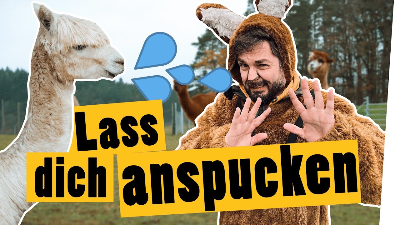 Lass dich vom Alpaka anspucken || Das schaffst du nie!