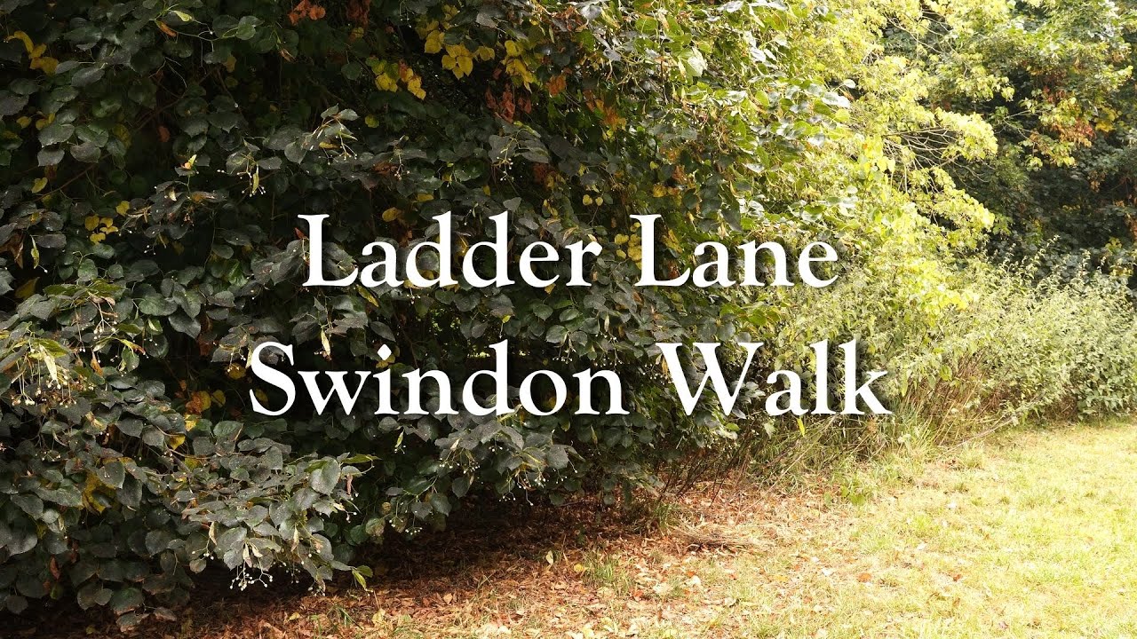 Ladder Lane, Swindon Walk
