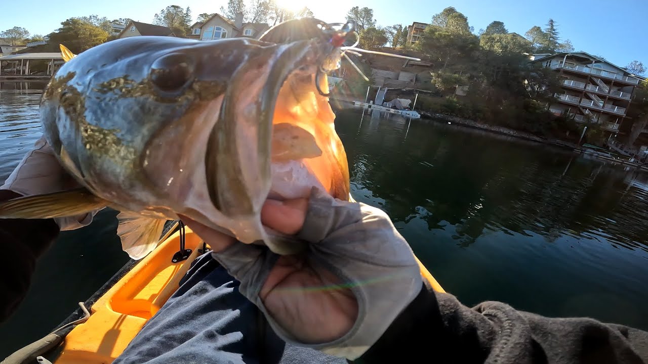 Cheat code for Fall Bass fishing | NO SCOPING