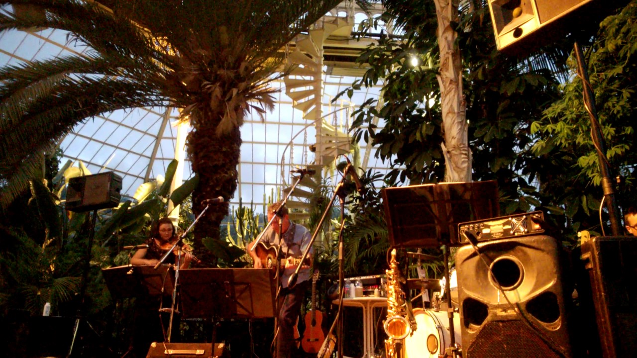 John O'Connell, The Irish Washer Woman @ Palm House, Liverpool