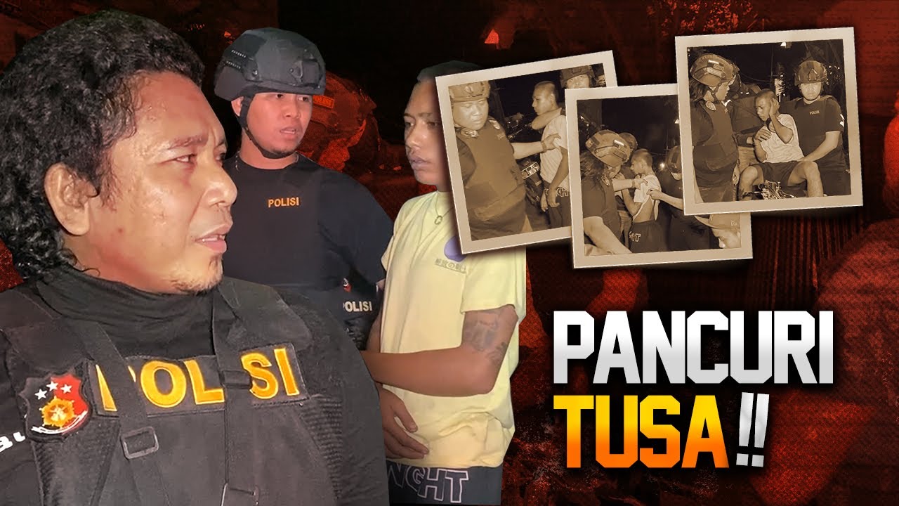 GAGAL M3NCURI KUCING, P3L4KU B3RS3NJ4TA T4JAM MALAH KETAHUAN TIM TARSIUS!