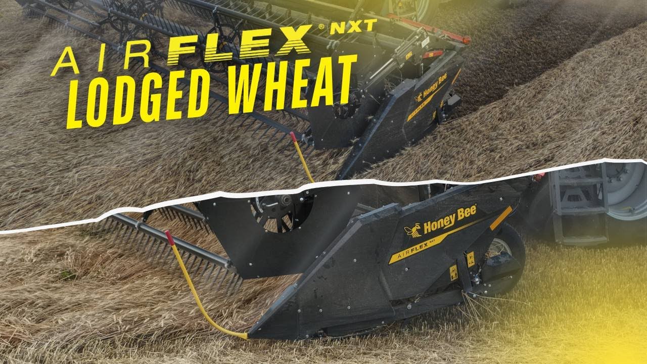 30' AirFLEX NXT | Lodged Wheat | Fendt IDEAL