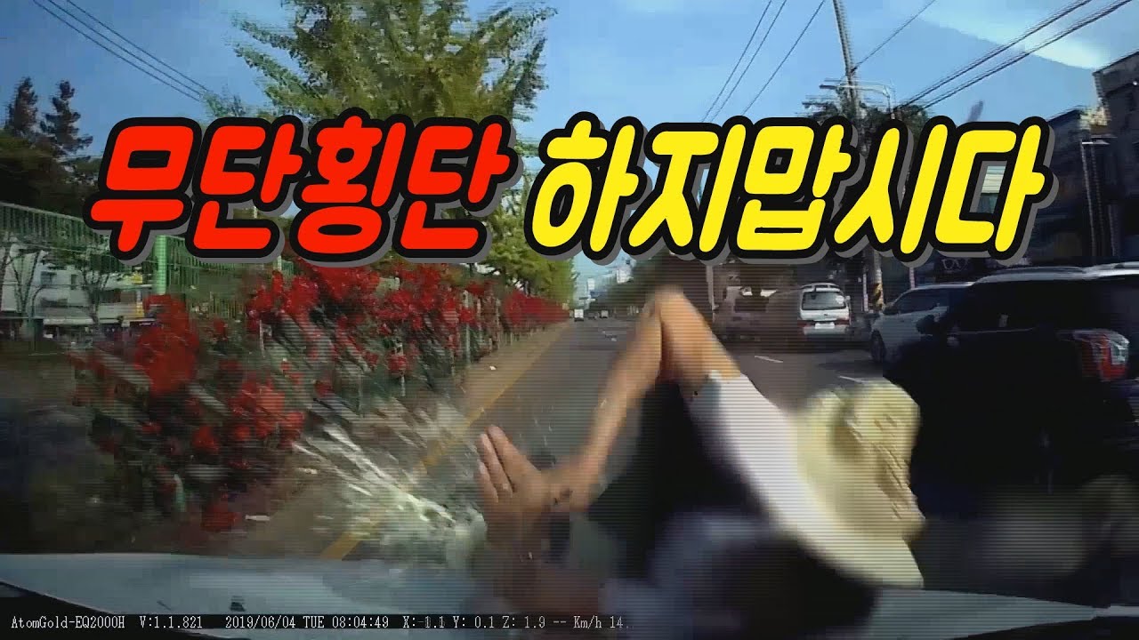 2025회. (충격영상 주의)   왕복 6차로 중앙선 철제 펜스 무단횡단자 충격 사고