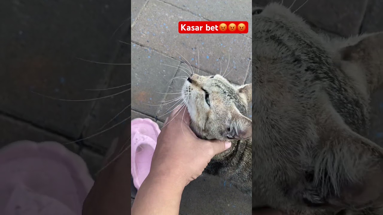 Kasar banget tangannya 