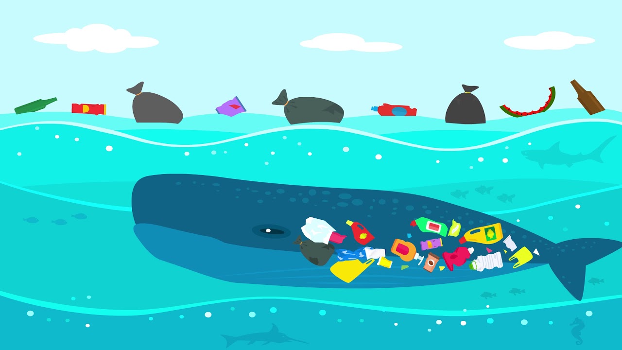 World Oceans Day