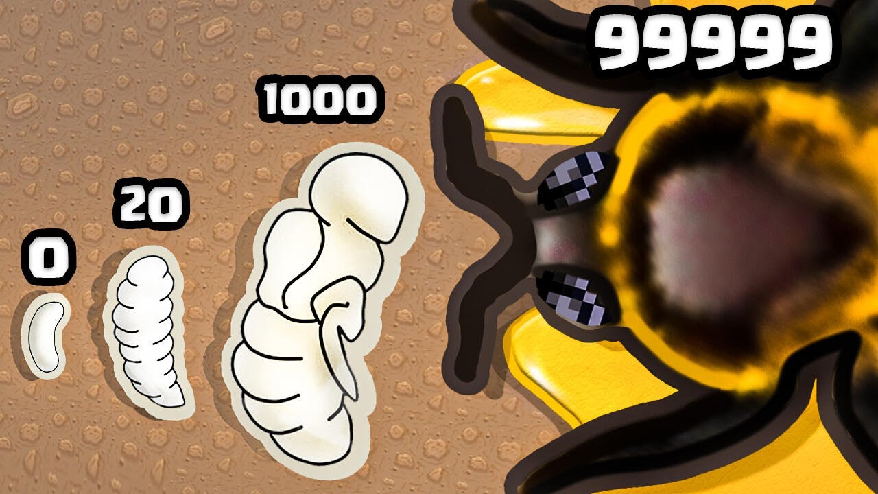 Evolving a Bee Army to MAX LEVEL