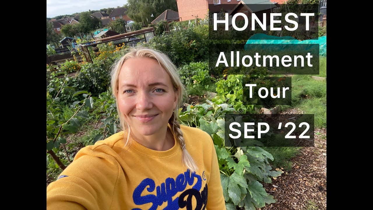 HONEST Allotment Tour!! Sep “22 | Organic Veg | Allotment UK