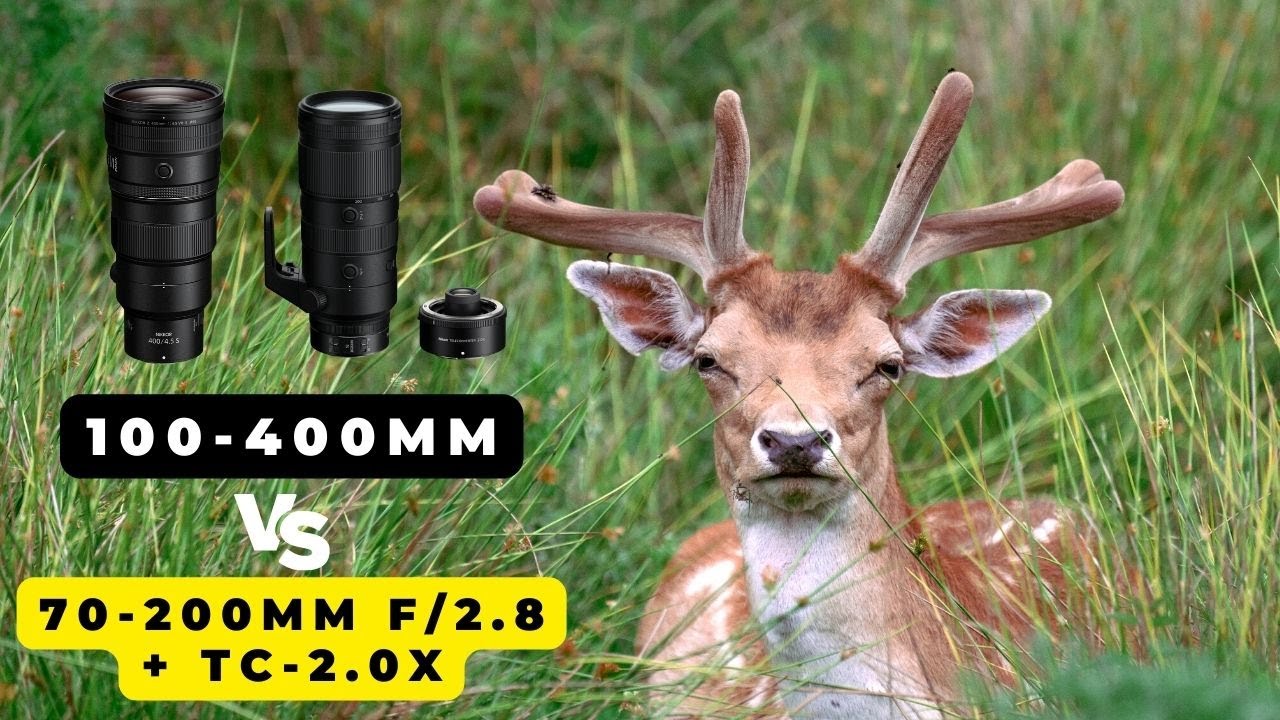 Nikon Z 100-400 мм против 70-200 мм f/2.8 с телеконвертером? ПОЛЕВОЕ ИСПЫТАНИЕ