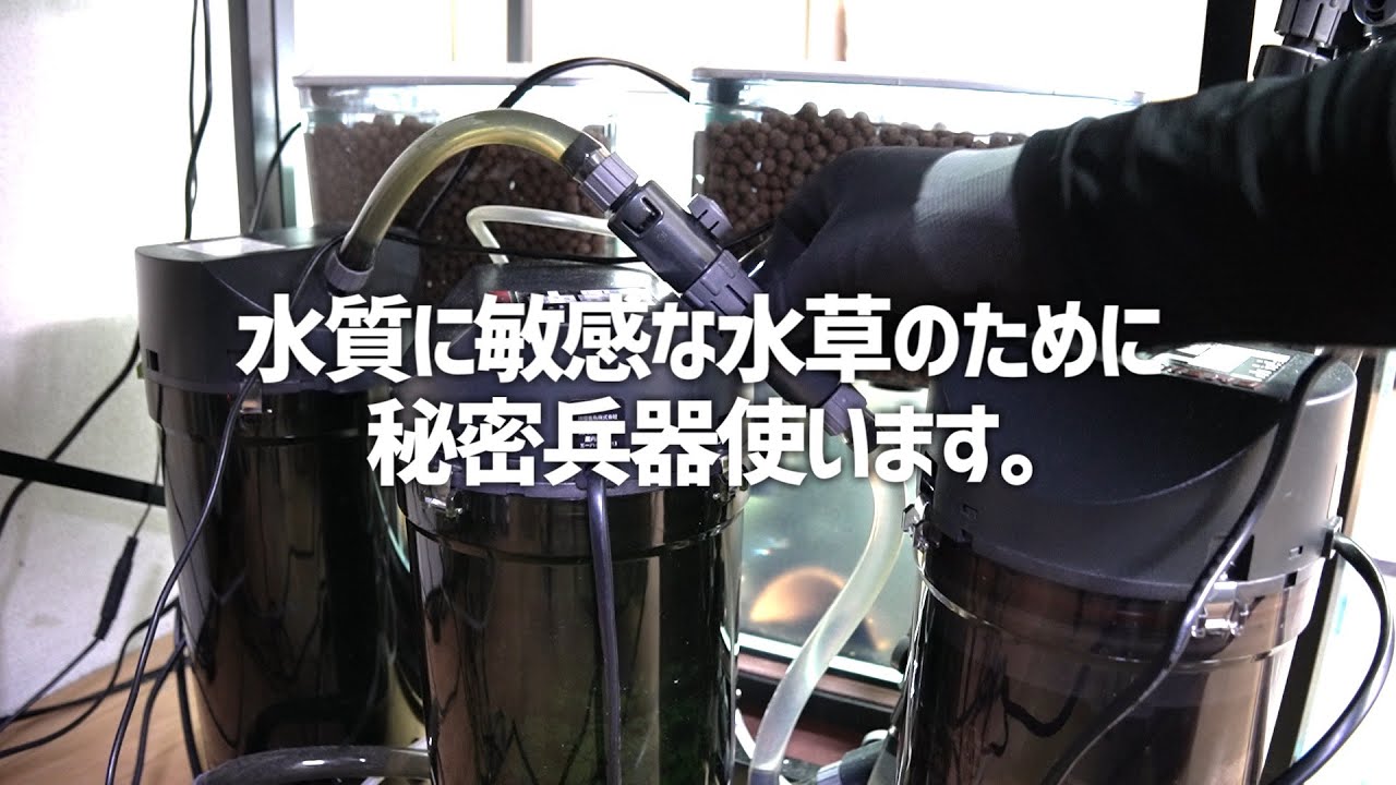クリプトコリネ水槽遂に注水！合計数万の陰性水草を守るため、外部フィルターの中身を開ける。#360【アクアリウム】