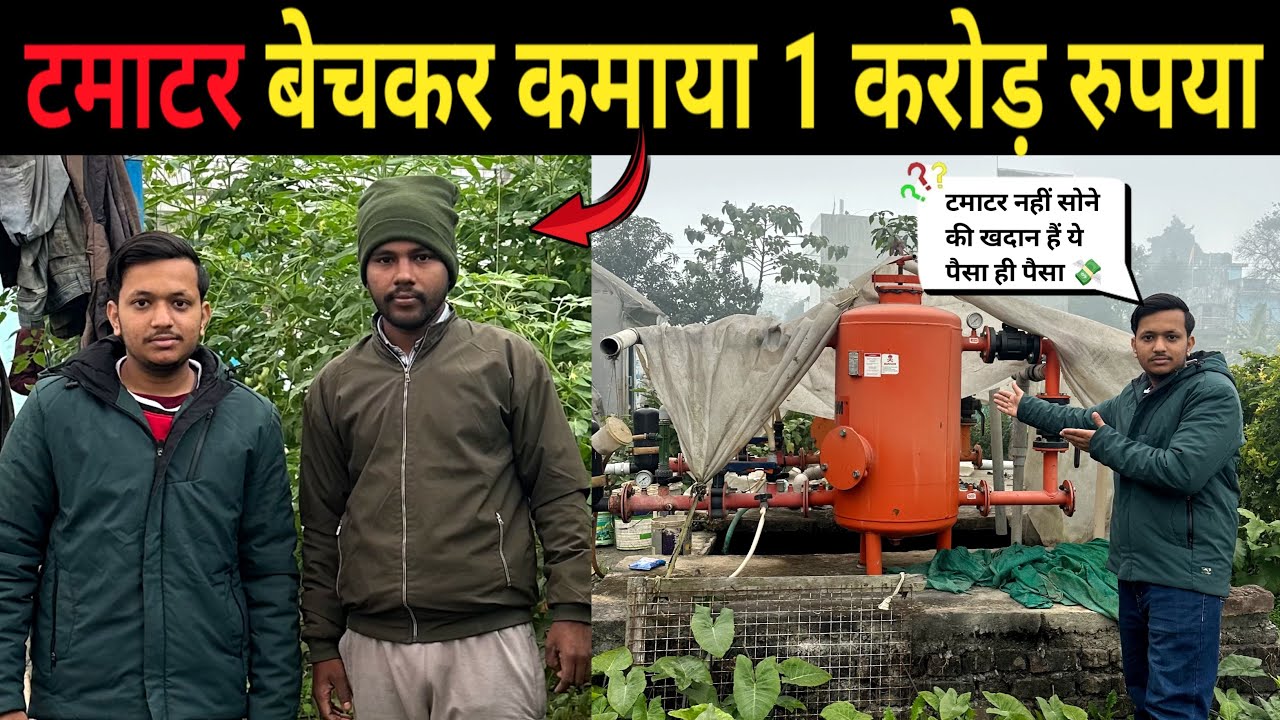 टमाटर बेचकर कमाया 80 लाख रुपया |