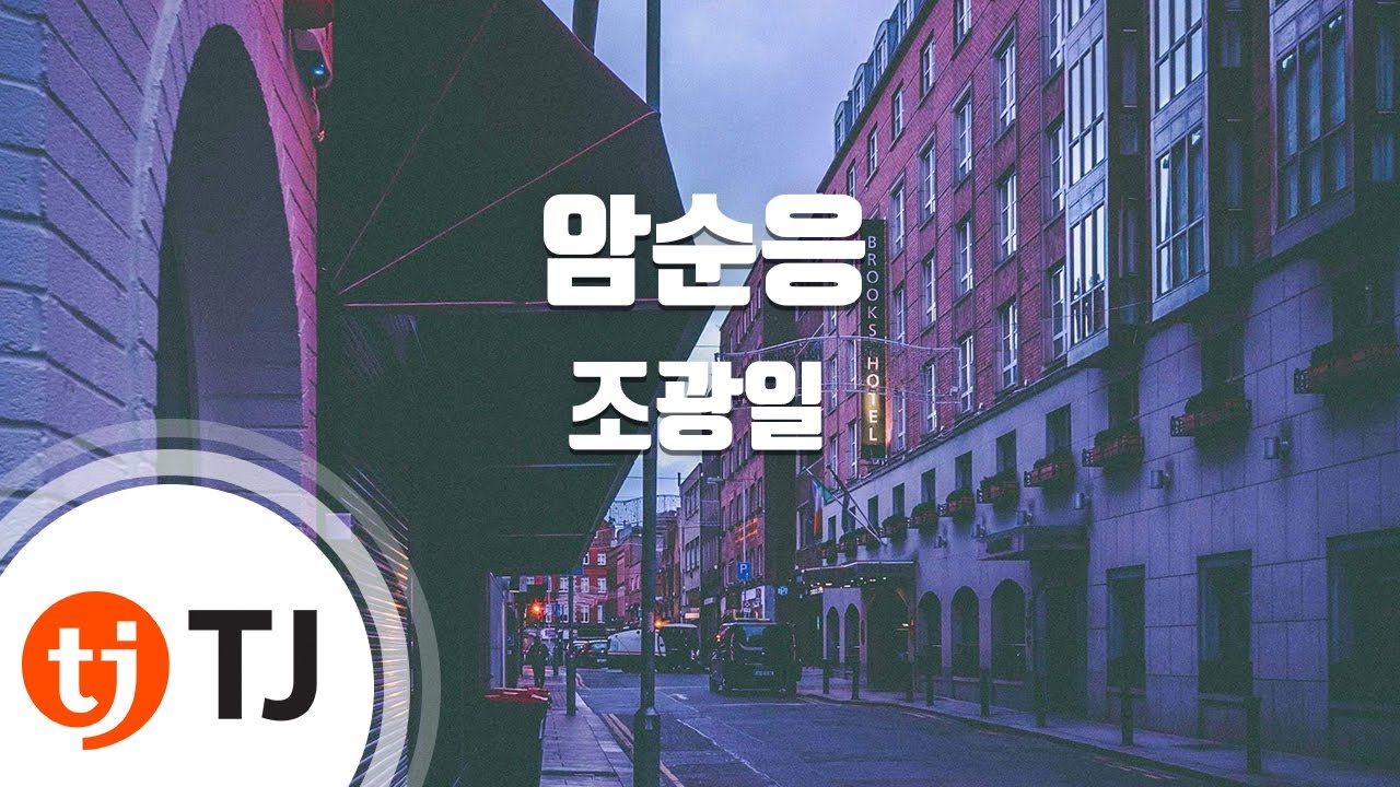 [TJ노래방] 암순응 - 조광일 / TJ Karaoke
