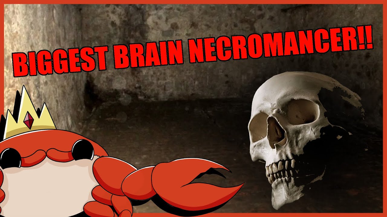 Эпический игрок-некромант УНИЧТОЖАЕТ ВСЮ группу паладинов || История D&D