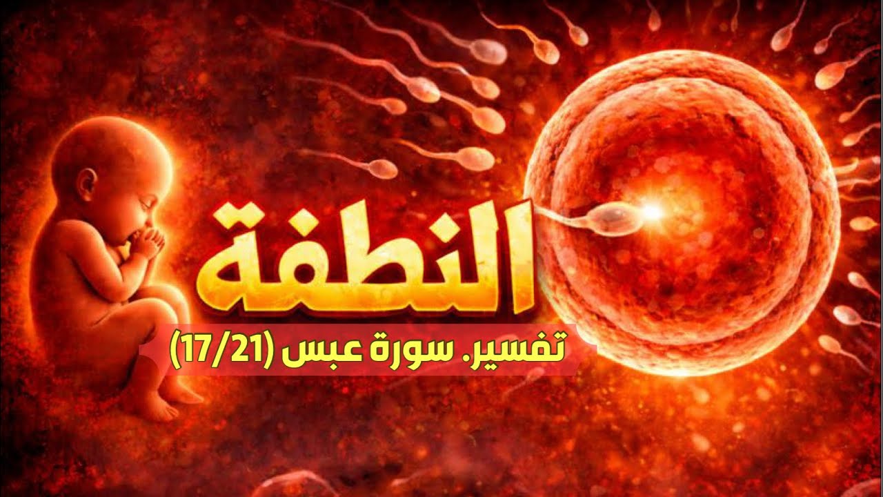 النطفة!! | تفسير سورة عبس (17/21) / الشيخ شادي عطعوط 	#خلق_الإنسان