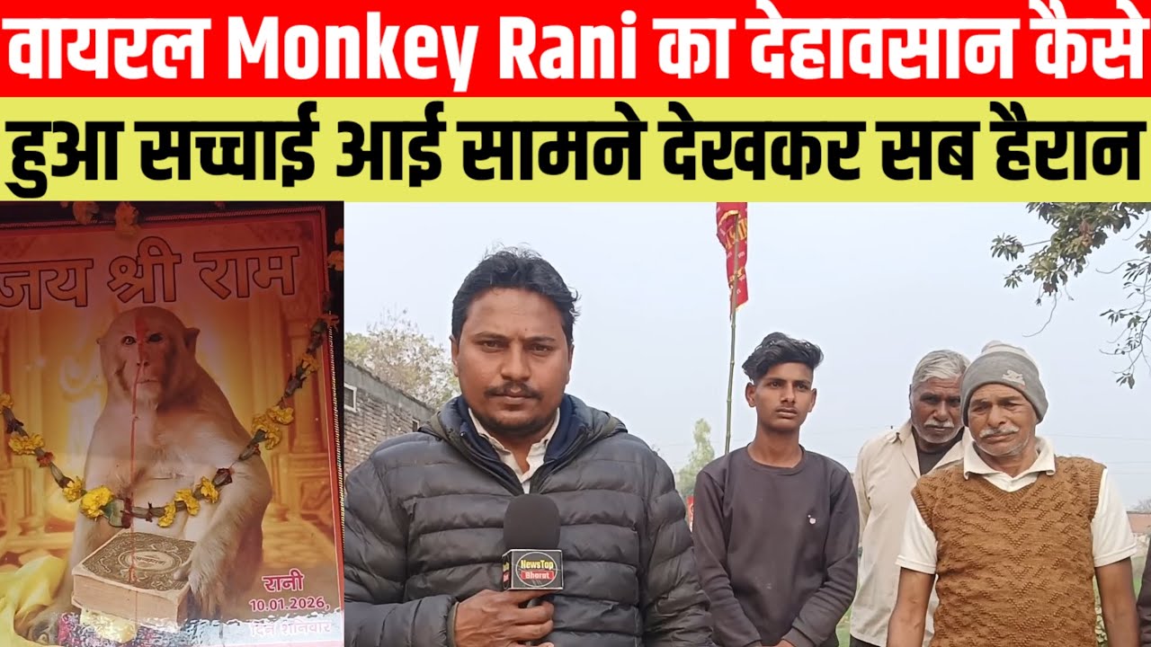 #वायरल Monkey Rani का देहावसान कैसे हुआ सच्चाई आई सामने देखकर सब हैरान #viralvideo