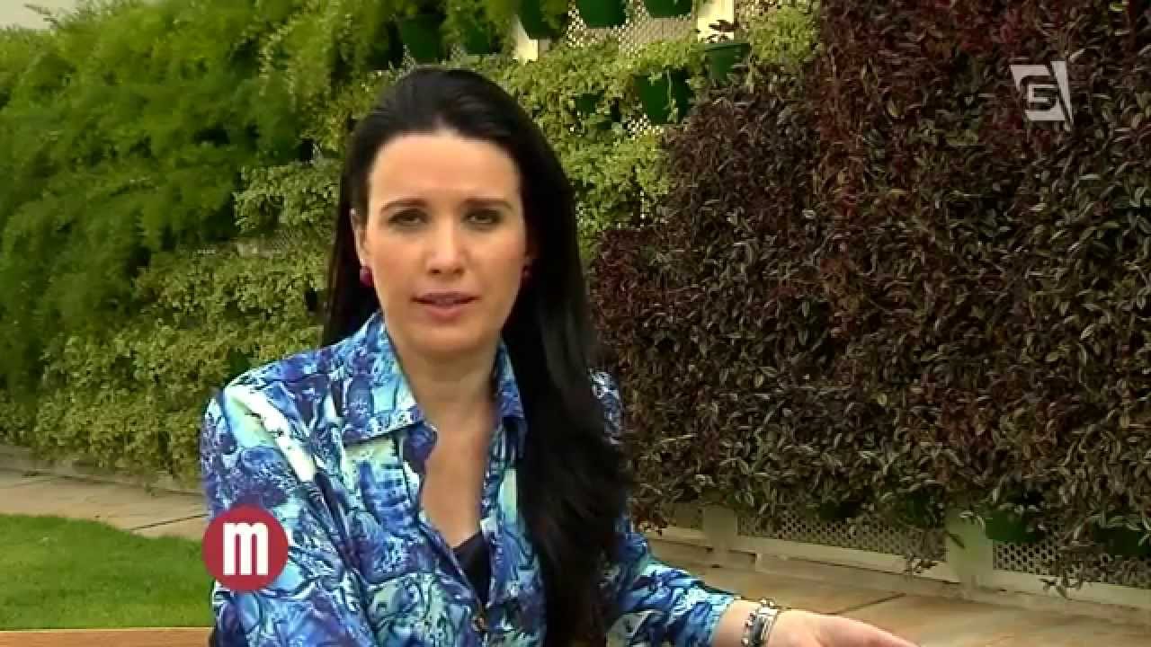 Minuto Sa&uacute;de sobre Vitiligo