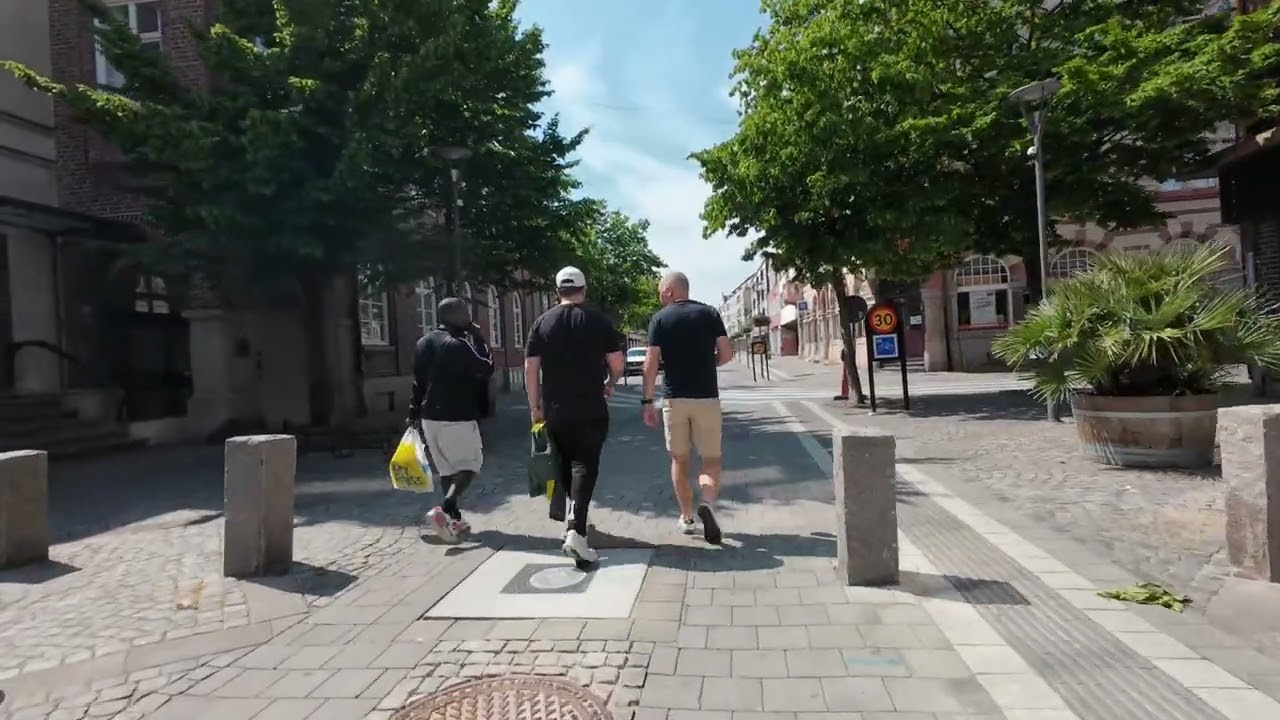 Pēdējie 50 km Zviedrijas Karalistē