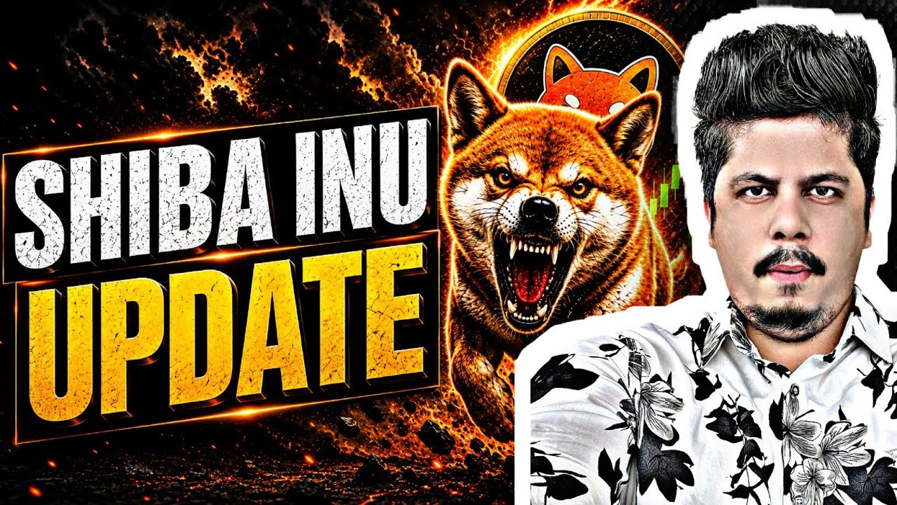 Shiba Inu Update