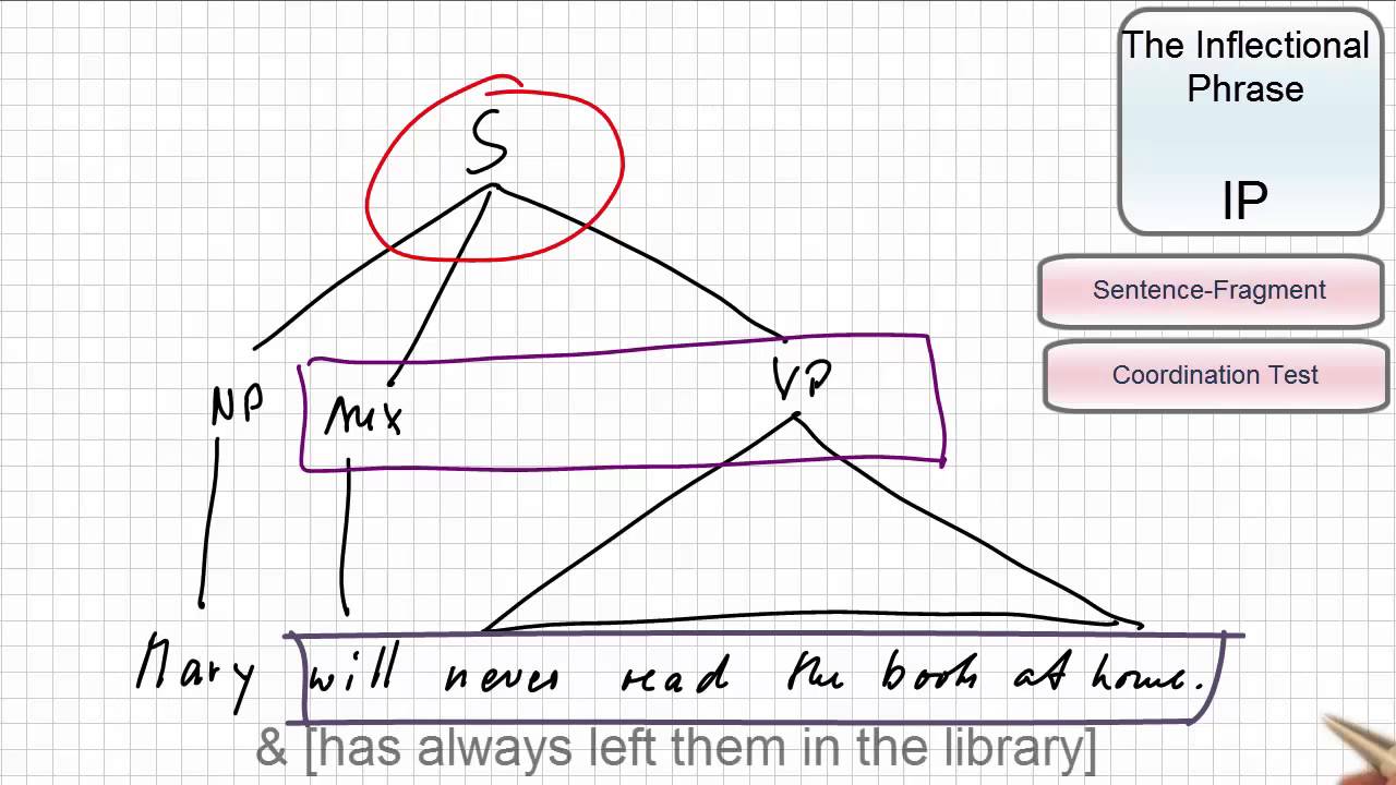 SYN_215 - Linguistic Video Scribes - Constituent Analysis: The IP