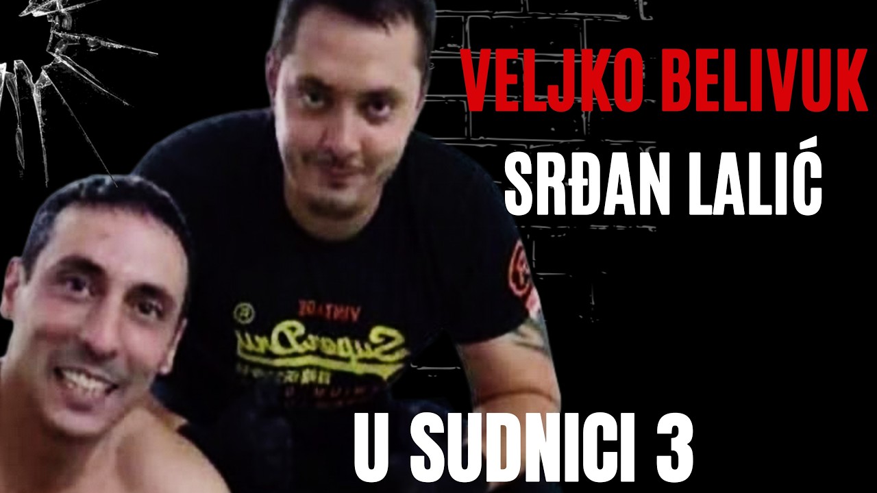U sudnici 3 - VELJKO BELIVUK PROTIV SRĐANA LALIĆA