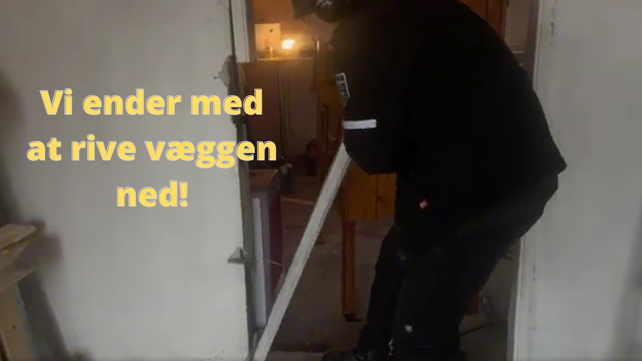 Alle mulige projekter 2025 samlet | Rod, garage, stubfræser, planter hæk