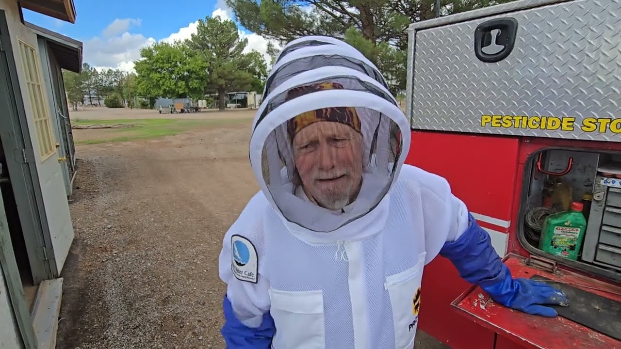 Killer Bee Shedfestation 