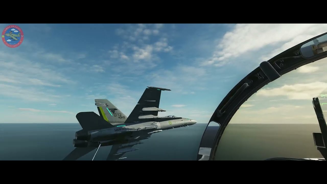 Hornet Flight