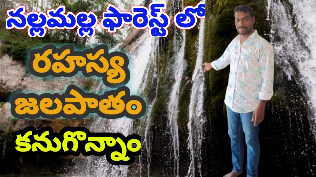 నల్లమల్ల ఫారెస్ట్ లో రహస్య జలపాతాన్ని కనుగొన్న // #nallamalaforestwaterfalls