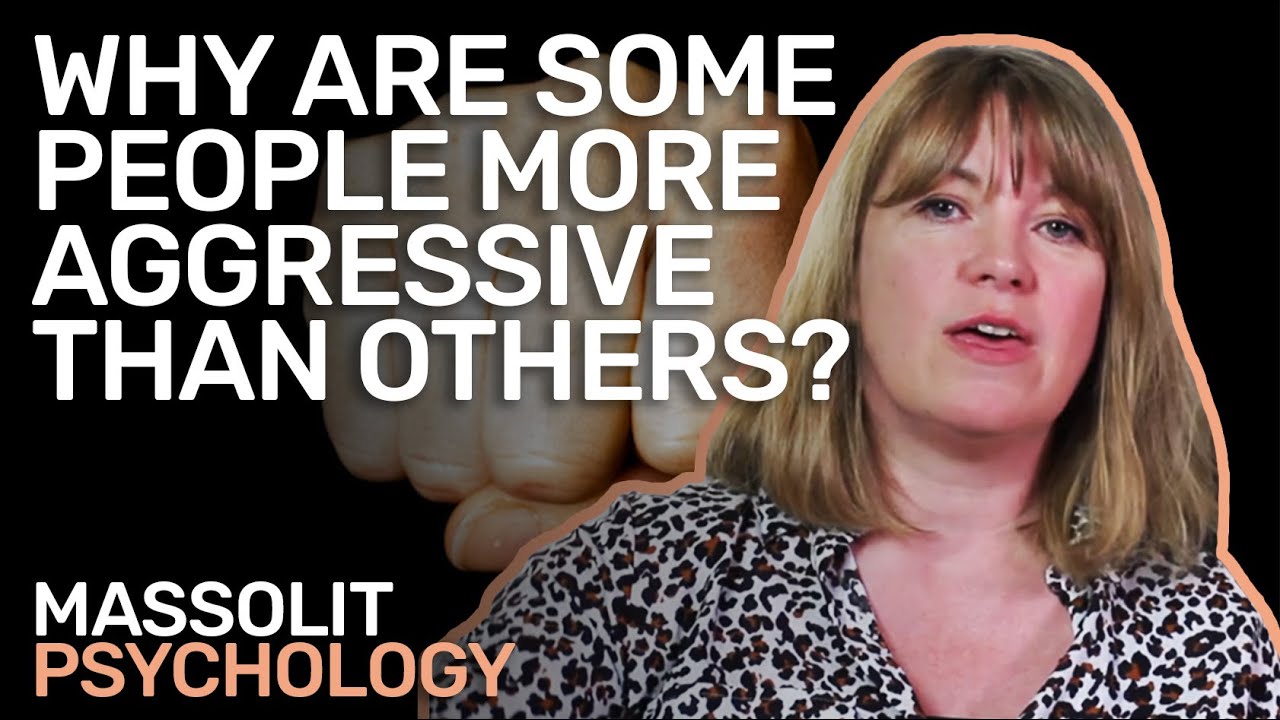 Aggression and the Warrior Gene