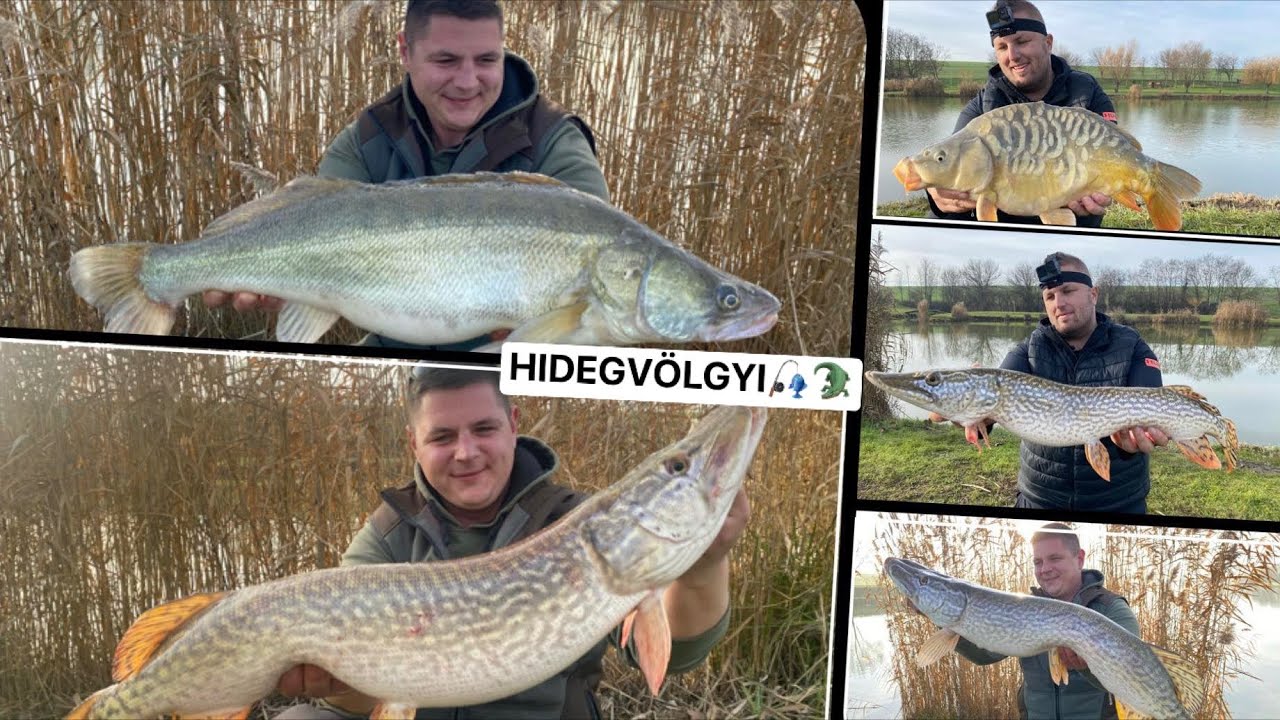 Hidegvölgyi legendás süllők és csukák nyomában.😎Vertikális vagy a gumi? 🎣