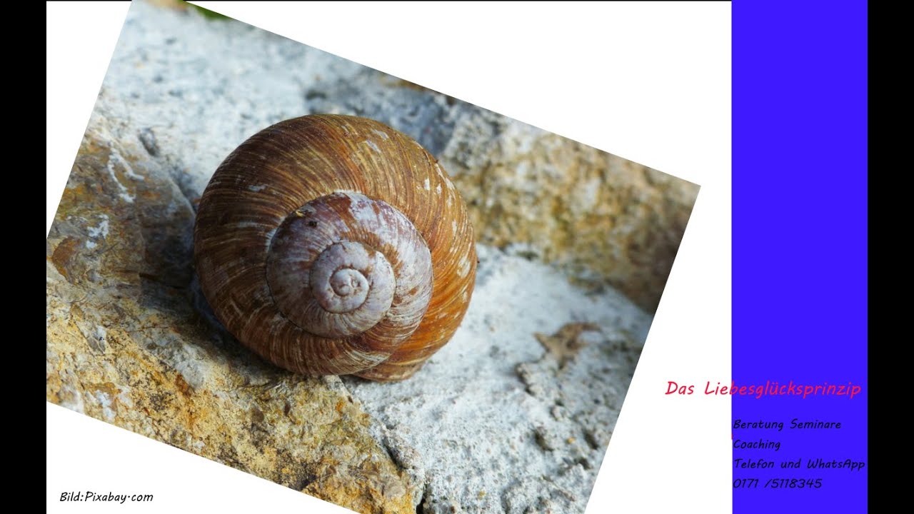 Ich der  Gefühlsklärer - Der große Unbekannte - Durchschaut!