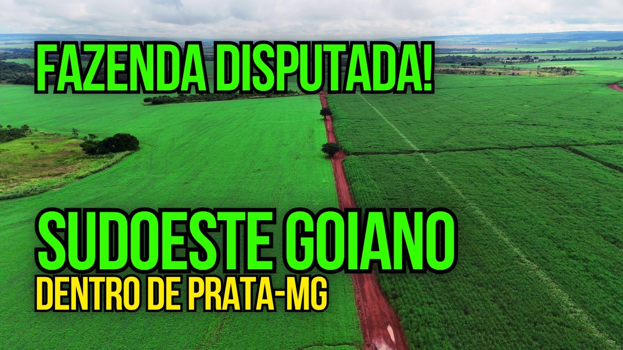 FAZENDA ÚNICA À VENDA EM GOIÁS: 1047 HECTARES DE TERRA ROXA PRODUTIVA