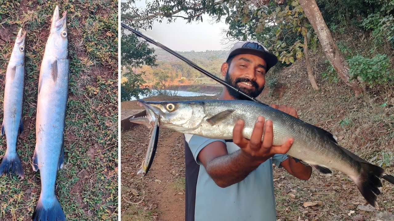 रॉड वरती पहिल्यांदाच पकडला मोठा दांडोशी मासा | Crazy baraacuda catching @TejaGurav