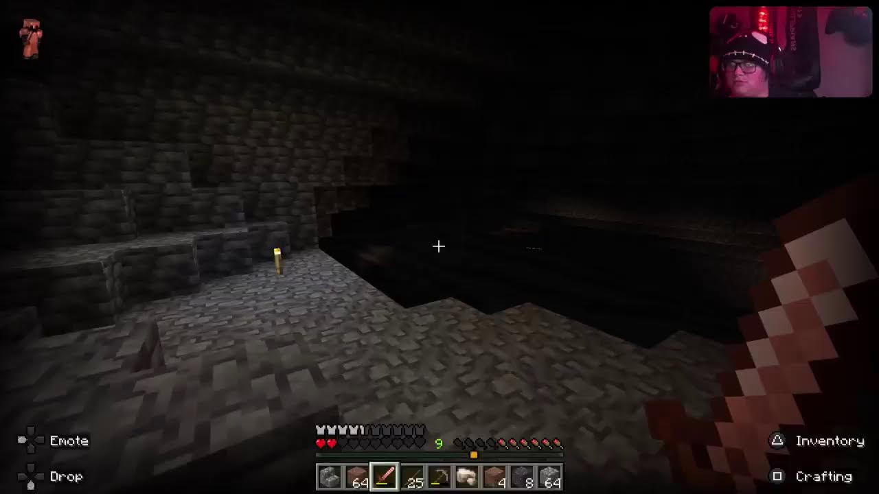 Minecraft Survival