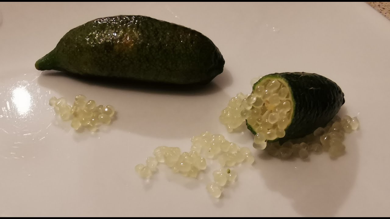Finger Lime aka Caviar Fruit (Microcitrus australasica). An explosion of tangy zest from Australia