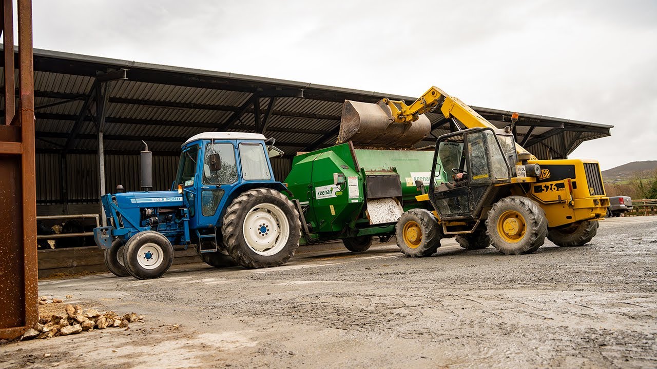 1978 Ford 6600 & Keenan Klassick 100 Feeding 200 head of Cattle