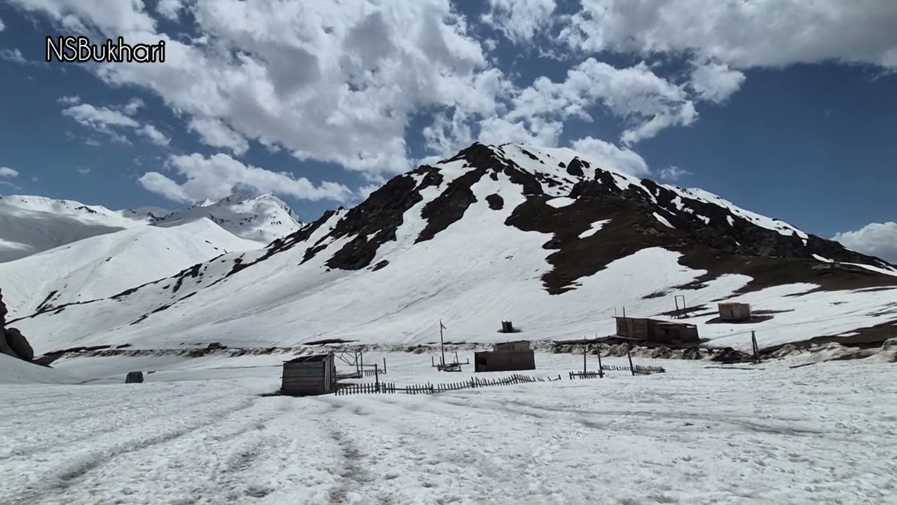 Badgoi Top