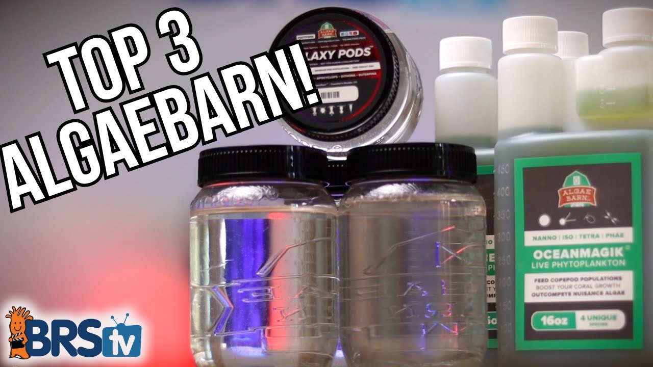 3 лучших продукта AlgaeBarn, которые нужны каждому рифовому аквариуму