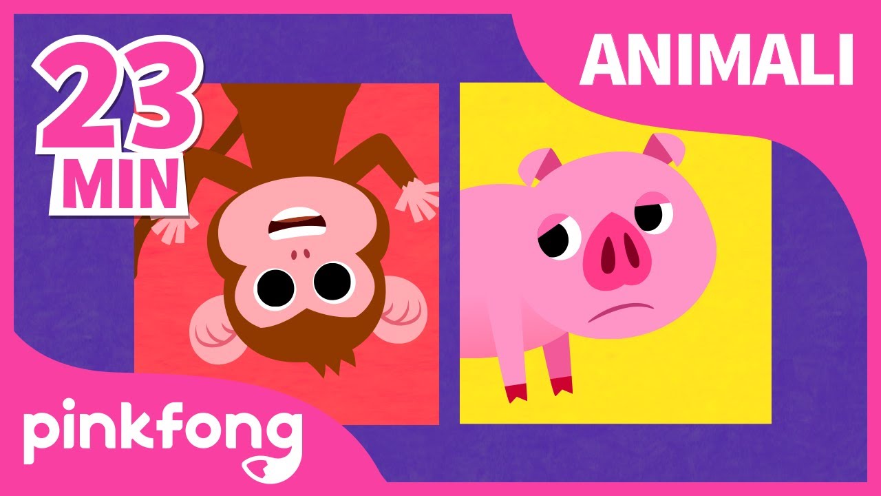Canzoni sugli Animaliㅣ+CompilationㅣVersi degli AnimaliㅣPinkfong, Bimbo Squalo! Canzoni per Bambini