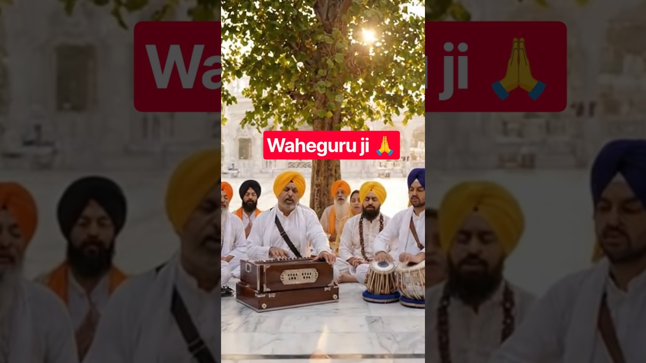 #anilbaijal #gurbani #waheguru #song #love #sikhhistory #24gurbani #kirtan #sherbagga #langarsewa