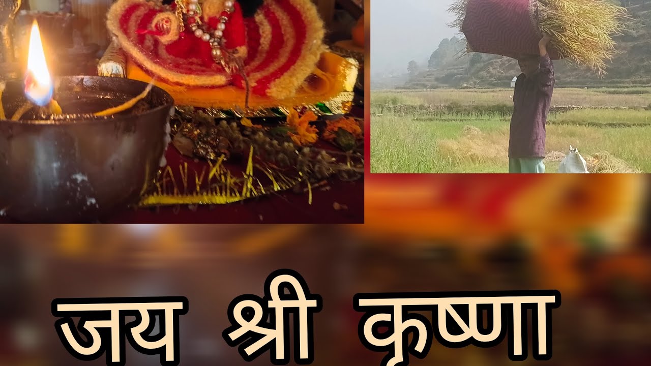 हमारे गांव में आदमी और महिला दोनों ही  मिलजुल कर खेतों का काम करते हैं ||