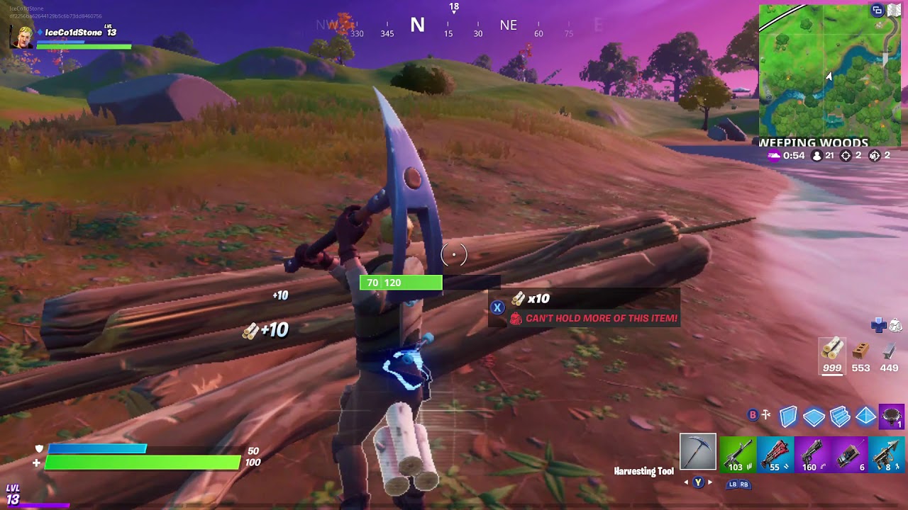 Fortnite Part 3. (Almost an EPIC win)