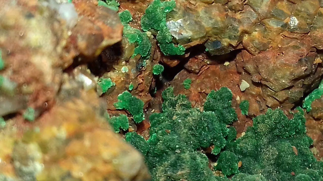 Мурзинское месторождение. Алтайский край 2023 год. Прекрасные образцы хризоколлы.