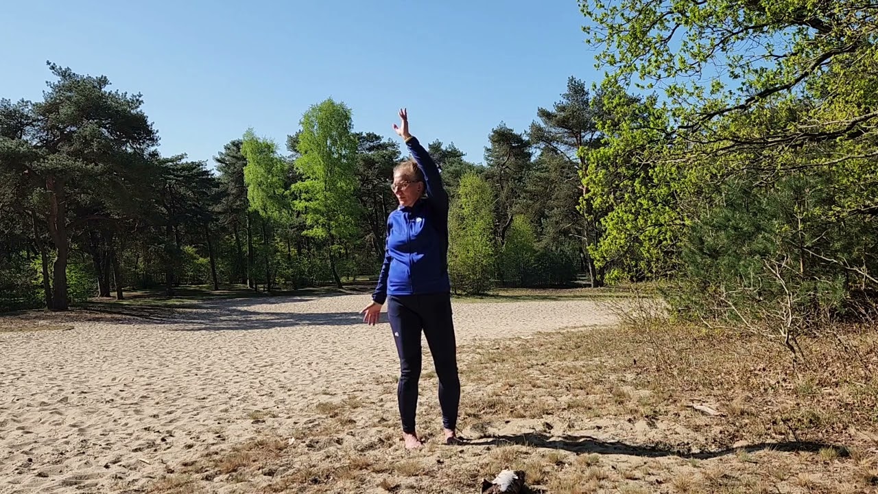 Ontwaakte draak