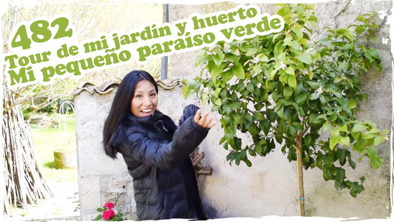 🌳 Tour de mi jardín y huerto, Mi pequeño paraíso verde 🌳 ~ Mandarina con Mate
