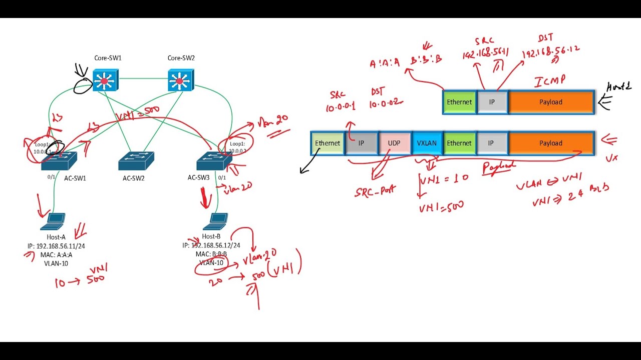 SD-Access Data Plane part 2