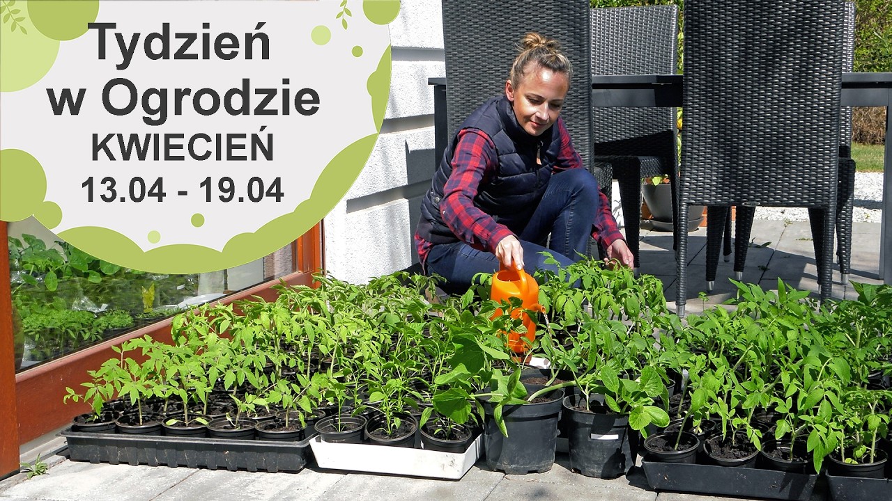 Kwiecień w ogrodzie. Kalendarz ogrodnika na 13.04 - 19.04. Prace ogrodnicze w kwietniu